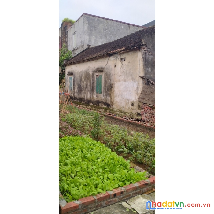 Cần bán đất thụy lâm, đông anh, ô tô, kinh doanh, giá nhỉnh 3 tỷ