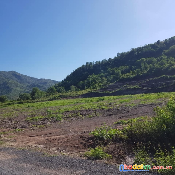Bán miếng đất trồng cây siêu rẻ tại diên lâm diên khánh , cách đường tl8 600m
