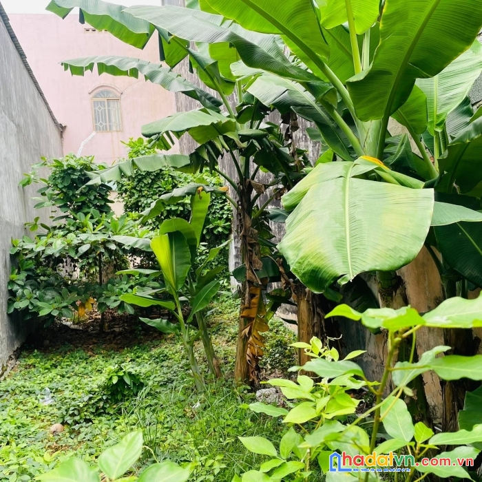 Bán lô đất hxh quay đầu 4x12.5m, 5 tỷ 650 nguyễn thị tần