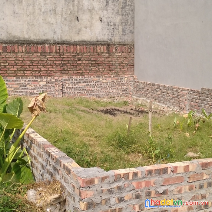 Chủ bán lô đất lộc hà, mai lâm, ôtô, ngõ thông, tiện ích, nhỉnh 1 tỷ.