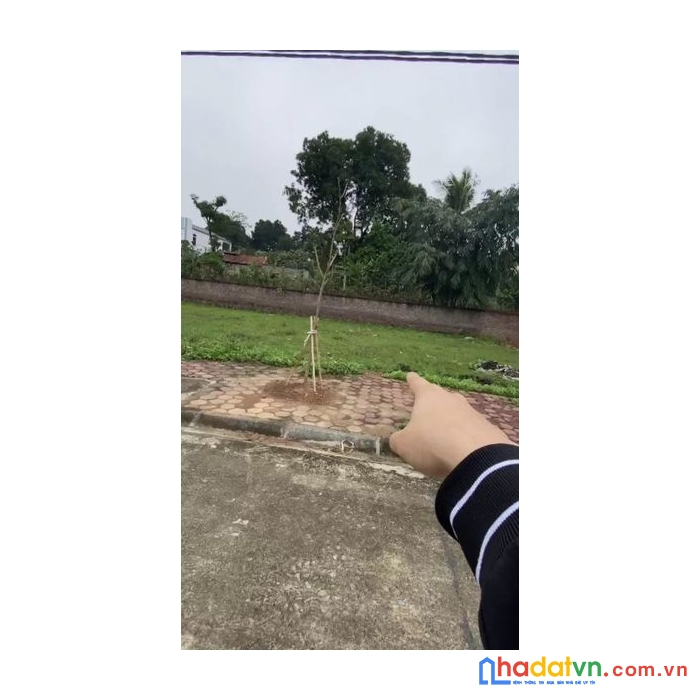 Cần bán lô đất dịch vụ tại hưng hoá - tam nông - phú thọ