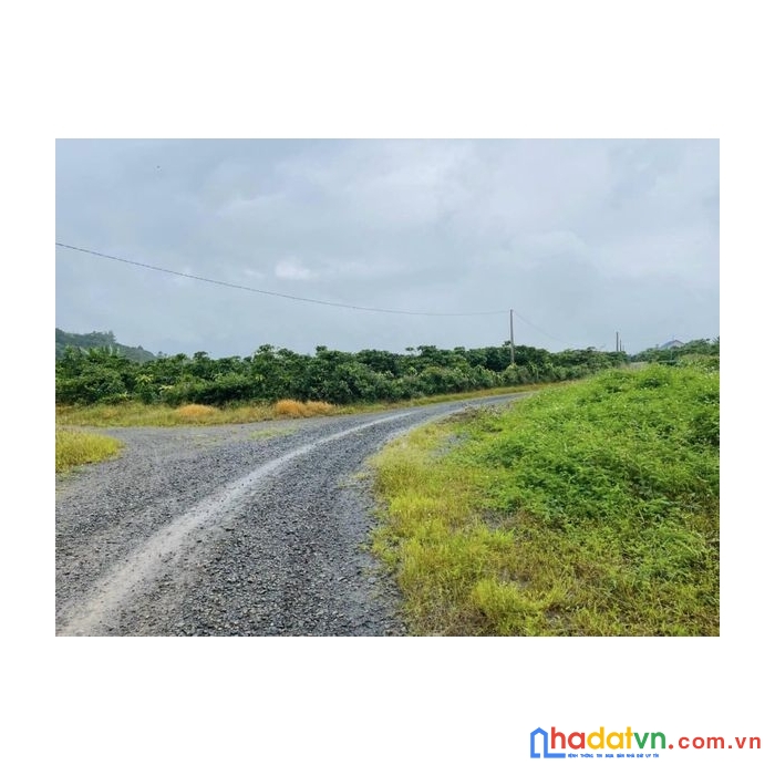 Chỉ 1.6 ty có ngay 1058m đất cln, lộc châu bảo lộc lâm đồng