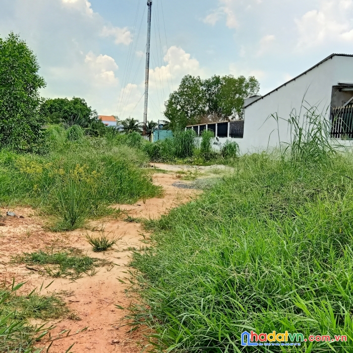 Cần bán 250 m2 đất gần mặt tiền đường cát lái giá chỉ 18 tr m2