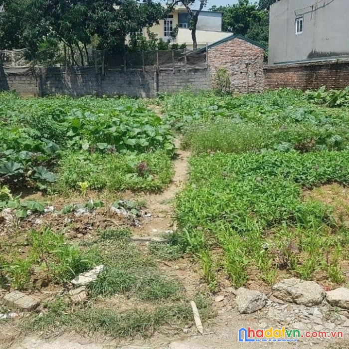 Chính chủ cần bán đất tại phố gốt - đông sơn - chương mỹ - hà nội