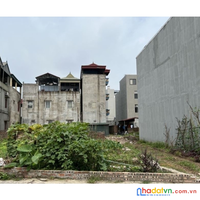 Bán đất phố trạm, long biên 81m mt 4.2m, ô tô tránh, kinh doanh giá 5.9 tỷ