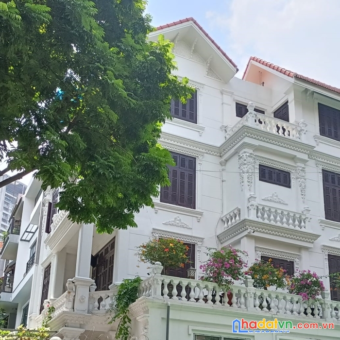 Bán biệt thự phân lô cầu giấy tuyệt đẹp 0909858789