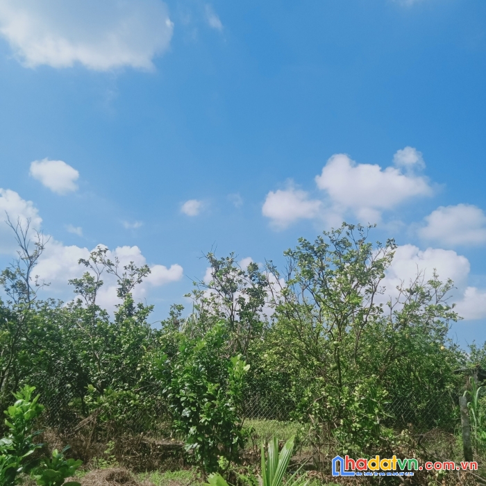 Chính chủ cần bán vị trí đẹp tại tỉnh tiền giang