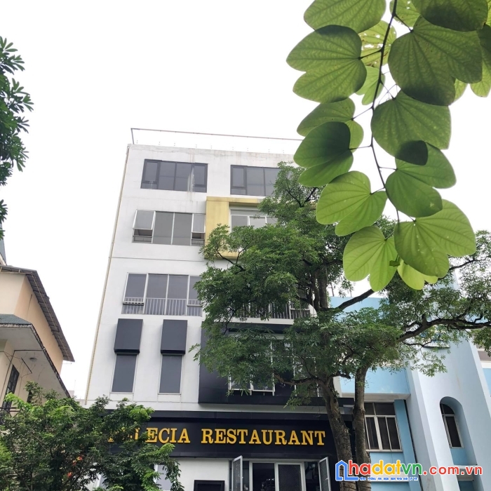 Bán nhà lõi phố cổ,nguyễn du,hai bà trưng, 50m2-mt 7m - giá 25,5 tỷ, chính chủ.0782479469