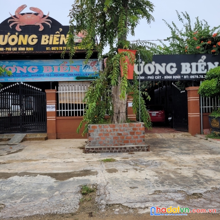 Chính chủ cần bán đất đẹp vị trí đắc địa tại phù cát – bình định