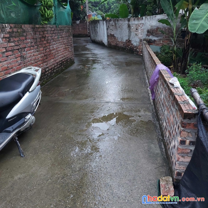 Chính chủ cán bán lô đất ở  xóm đình, thôn đông ngàn   xã đông hội -  đông anh - hà nội
