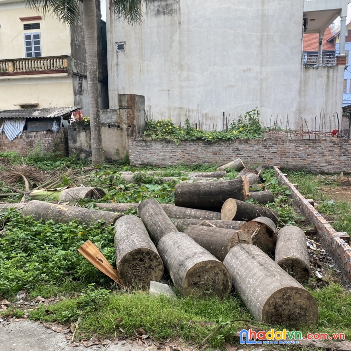 (hàng đẹp) bán gấp 60m đất thổ cư thôn bến trung, xã bắc hồng, huyện đông anh, hà nội.
