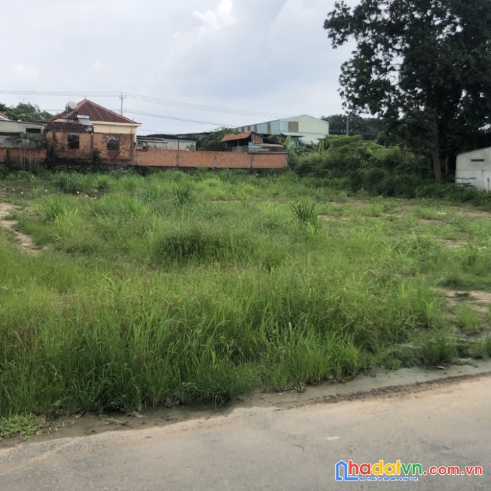 Bán đất xã an tây, thị xã bến cát, tỉnh bình dương