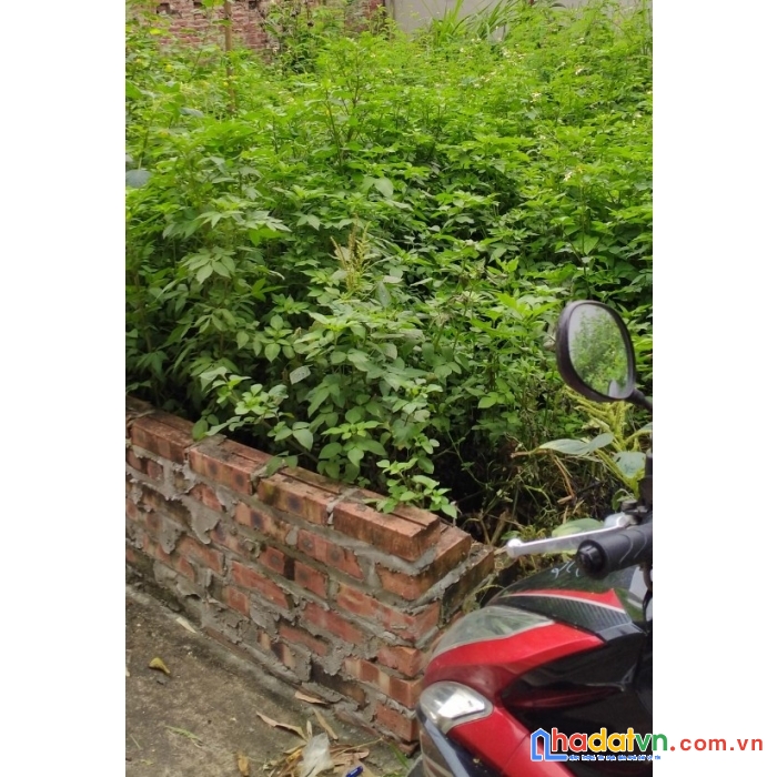 Cần bán đất xuân canh, đông anh, kinh doanh, ô tô, phân lô