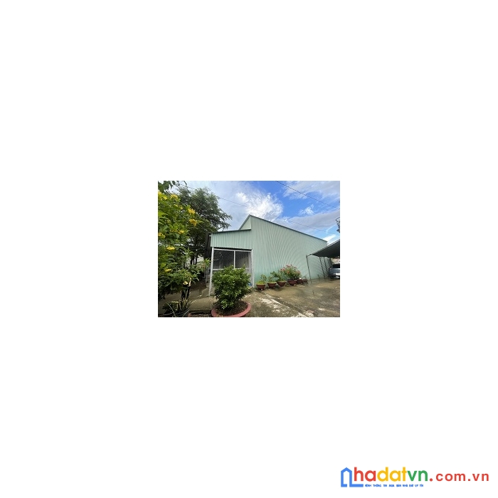 Chính chủ cho thuê mặt tiền 300m2 tại quốc lộ 50 bình chánh