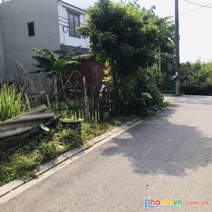 Bán cắt lỗ 55m tổ 11-ttđa đường trải nhựa thông thoáng