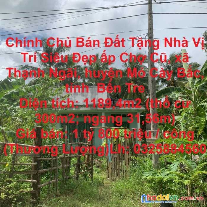 Chính chủ bán đất tặng nhà vị trí siêu đẹp huyện mỏ cày bắc, bến tre