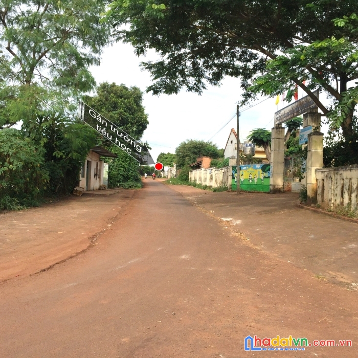 Chính chủ cần bán đất 2 mặt đường vị trí đẹp tại gia lai