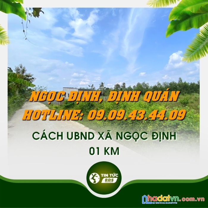Bán đất ont và cln xã ngọc định huyện định quán - đt: 0909434409