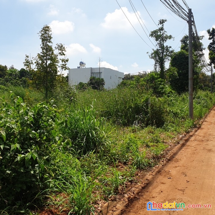 Bán đất xuân tân gần ql1a - đã đóng thổ cư 100%