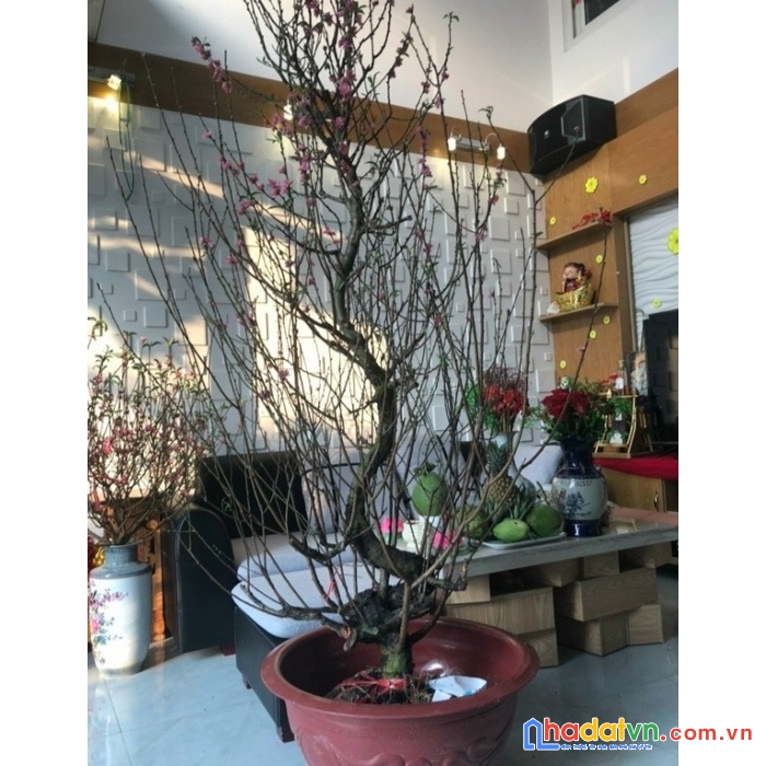 Bán nhà mặt tiền kênh tân hóa. dt 6.3 x 15, 2 tầng, 3pn giá 7.8 tỷ.