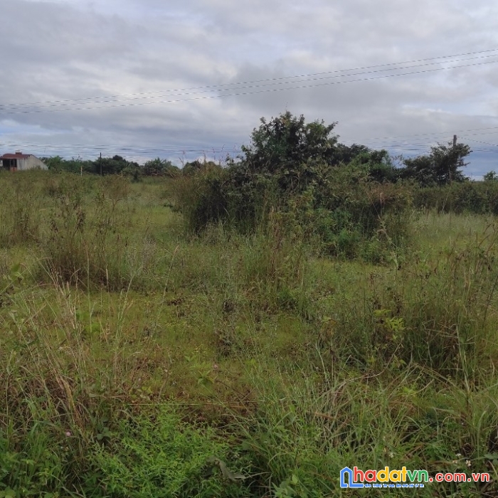 Chính chủ cần bán lô đất vị trí đẹp tại gia lai