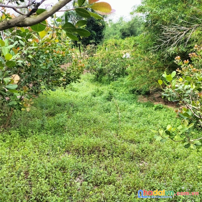 Bán đất diện tích 4670m2 giá bán 8, 7 tỷ, xã phú ngọc, huyện định quán, đồng nai