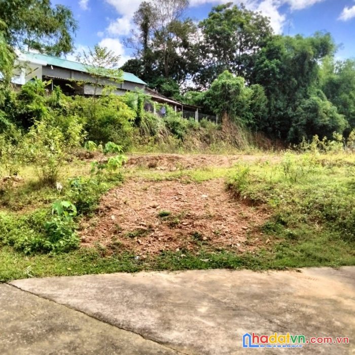 Chính chủ cần bán lô đất tại khu 11 hoàng cương thanh ba phú thọ