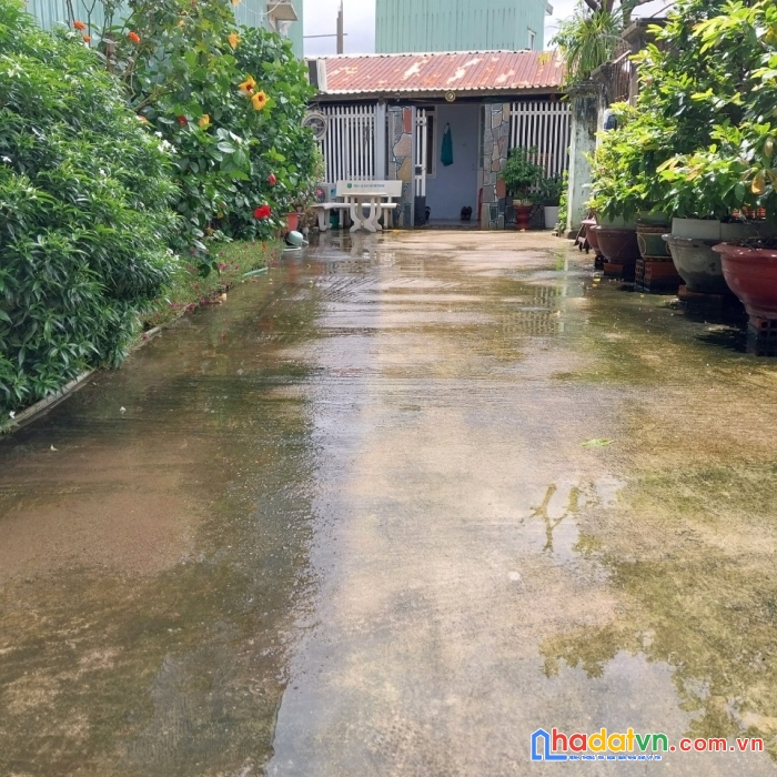 Sở hữu ngay căn nhà đẹp có 1 không 2  giá siêu đầu tư  tại tp quy nhơn – bình định