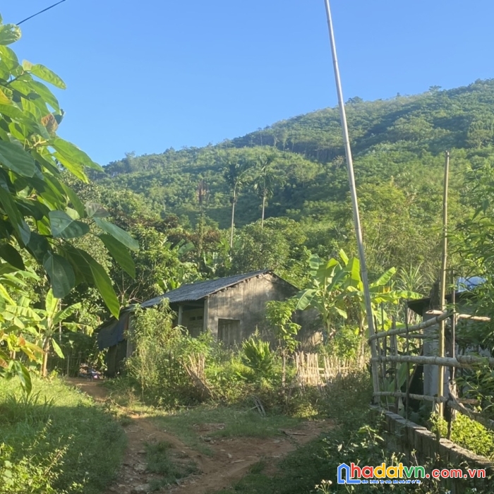 Bán 30.000 m2 ( 3ha) 2 mặt bám đường nhựa 322 gần 100mtân minh- thanh sơn, phú thọ chỉ 30k/m2.
