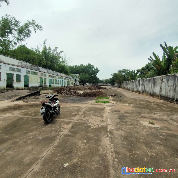 Bán gấp đất  108 kp trung thắng, p bình thắng, dĩ an, bình dương dt 2900m2 - 35 tỷ .