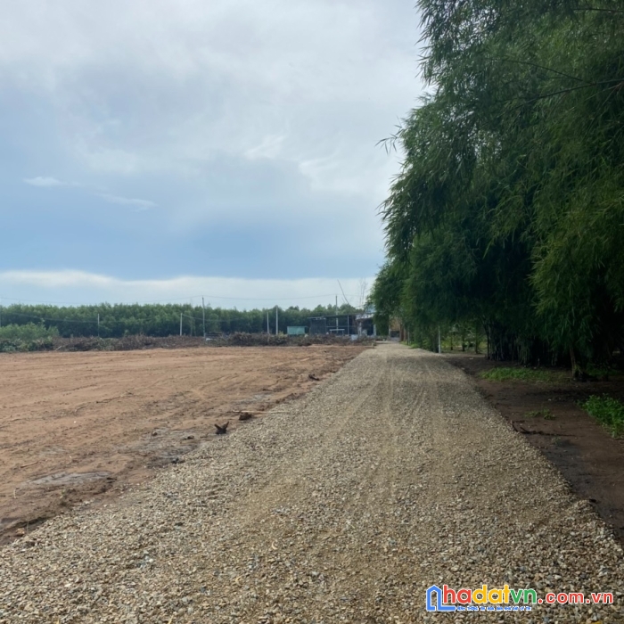 Bán gấp đất huyện đất đỏ, tỉnh bà rịa vũng tàu - 7000m2