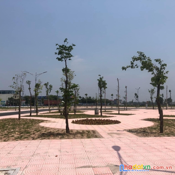 Cần bán gấp lô đất dự án gia đông thuận thành, bắc ninh giá 33 tr/m