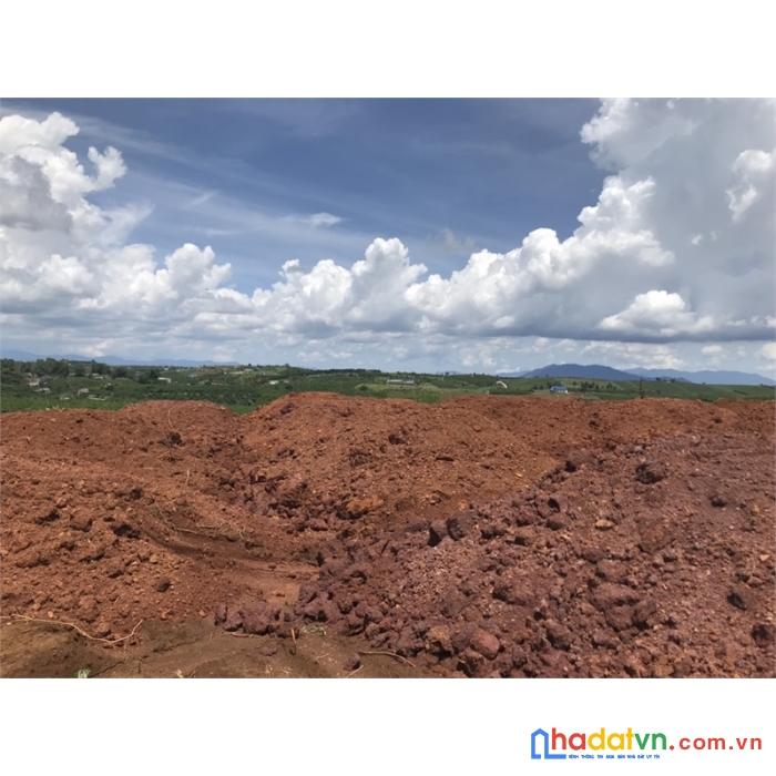 Cần bán nhánh đường nguyễn an ninh 1200m2 tc 200m2 giá 3tr500 nghìn m2 sđr, công chứng ngay