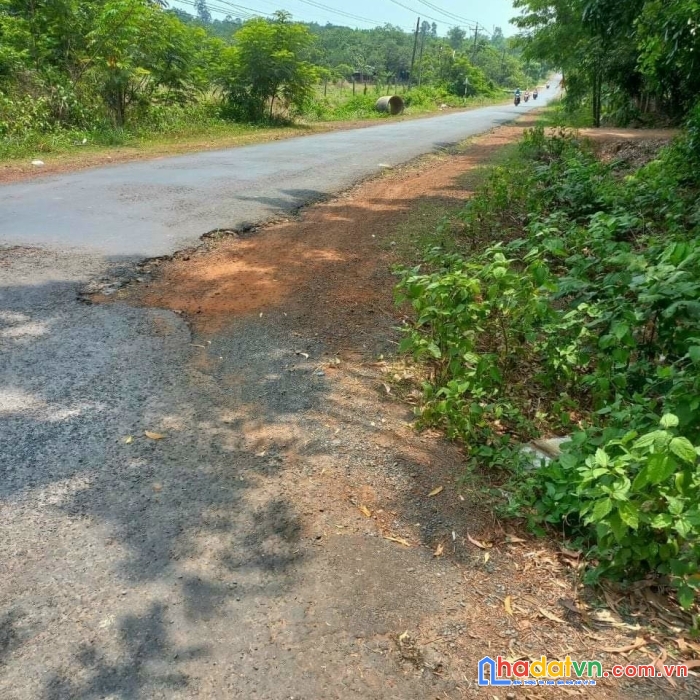 Chính chủ cần bán đất tại : an phú, hớn quản giáp với bình long, bình phước