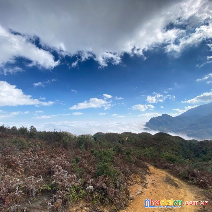 Hot:best view của y tý