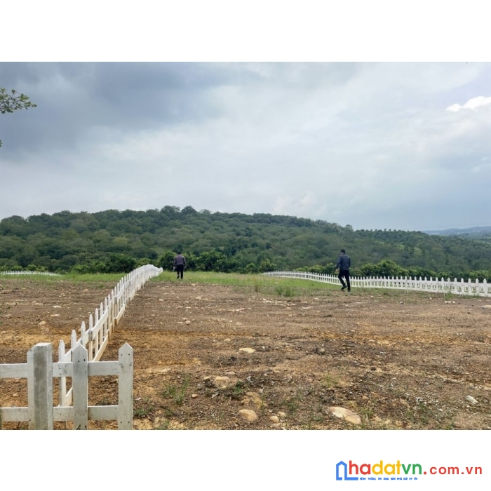 Căn hộ fiveseason homes hưng thịnh view biển giá tốt tháng 10 này. cam kết lợi nhuận 10 năm