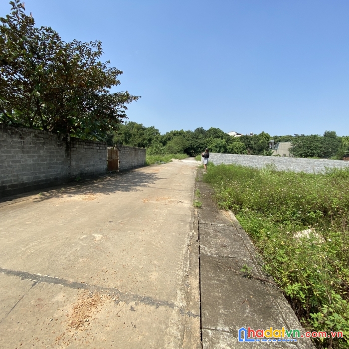 Bán đất giáp ql21a phú cát quốc oai 300m2 full thổ cư mặt tiền 15m giá nhỉnh 21tr/m2.