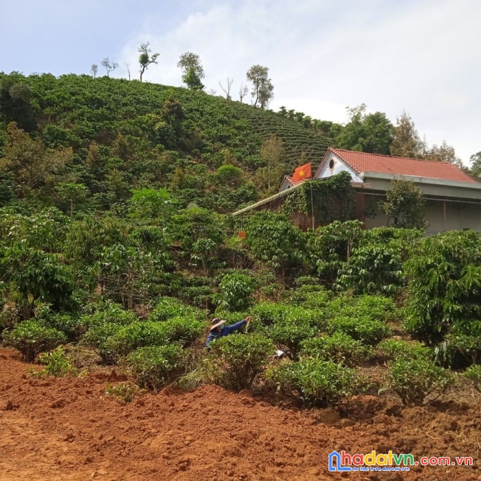 Sở hữu ngay lô đất đẹp tại xã lộc thành, huyện bảo lâm, lâm đồng