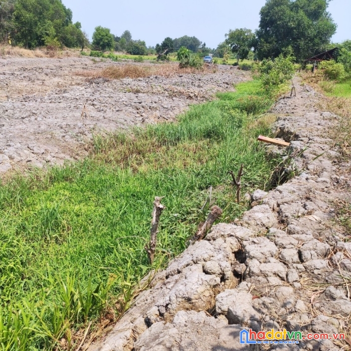 Chính chủ cần bán đất nông nghiệp tại hóc môn