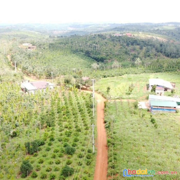 Sở hữu ngay lô đất đẹp tại xã năm n jang, huyện đắk song, tỉnh đắk nông