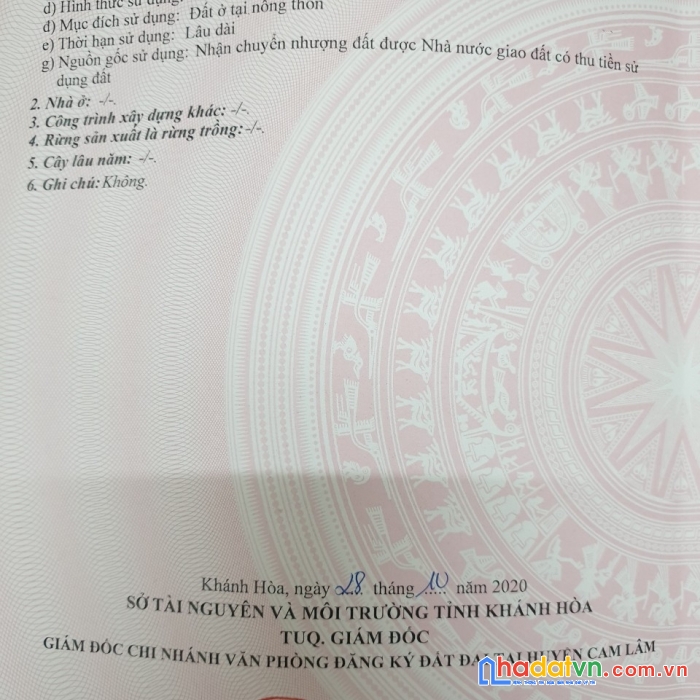 Chính chủ cần bán đất tại : thôn tân thành – cam thành bắc – cam lâm