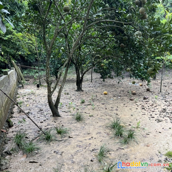 Cc cần chuyển nhượng 300m/100 ont, cự yên- lương sơn- hoà bình
giá rẻ cho nhà đàu tư,