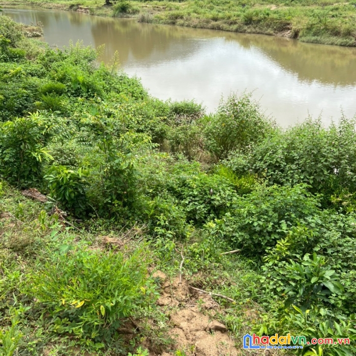 Sở hữu ngay lô đất đẹp vị trí đắc địa tại xã khánh phú, huyện khánh vĩnh, khánh hòa