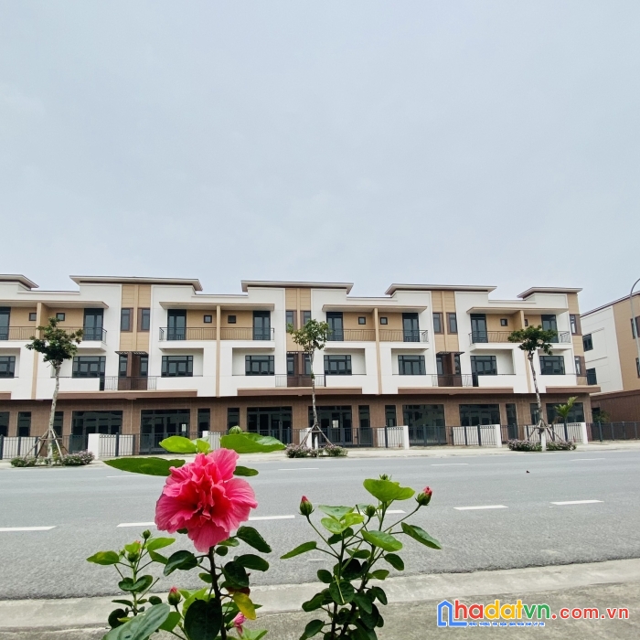 Tôi cần tiền bán nhà phố trục phố đi bộ sầm uất nhất từ sơn