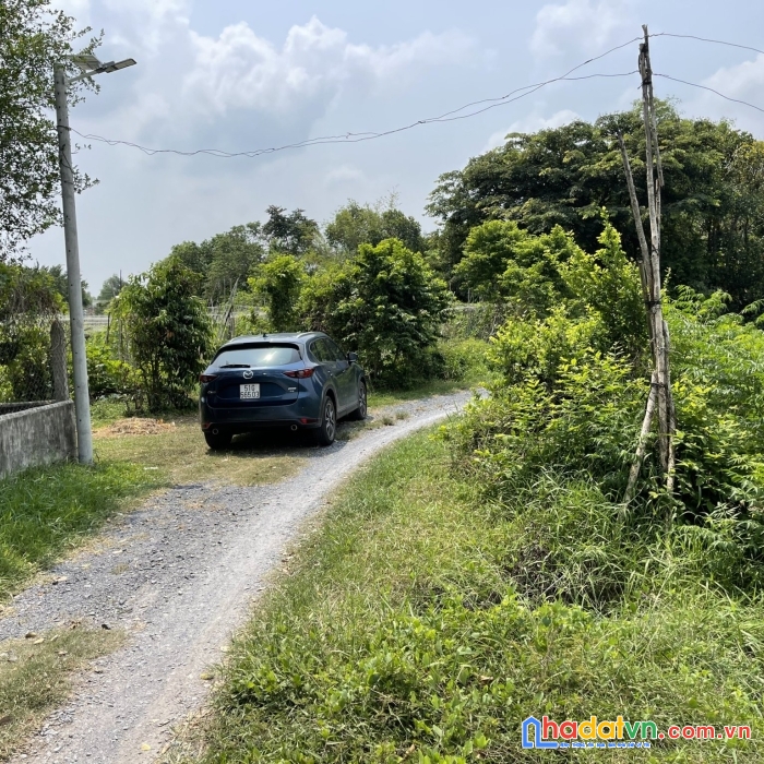 Tôi chính chủ bán gấp full thổ cư tân phú trung h.củ chi