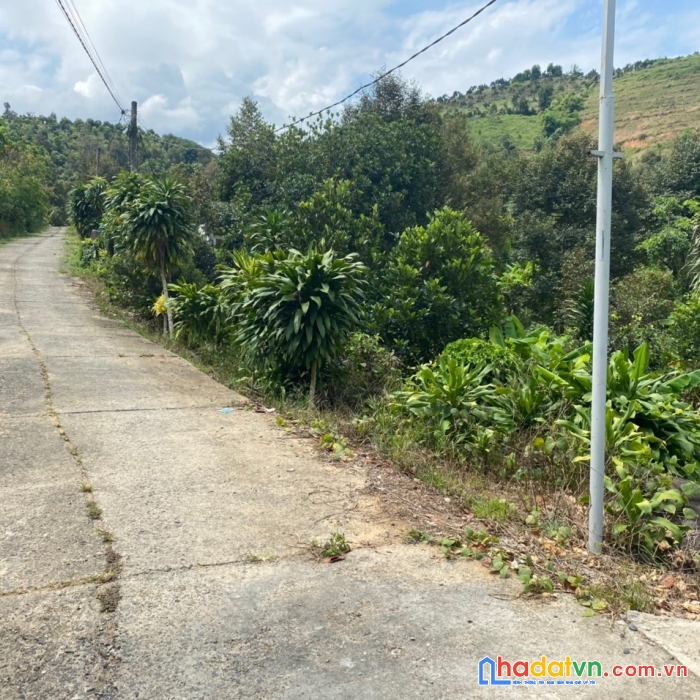 Cần bán lô đất vị trí đẹp tại tỉnh lâm đồng