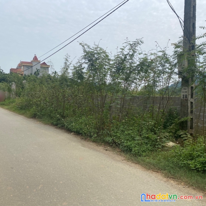*** chuyển nhượng 25000m2   ( 2,5ha) mặt đường bãi dài- tiến xuân -thạch thất tại đô thị vệ tinh