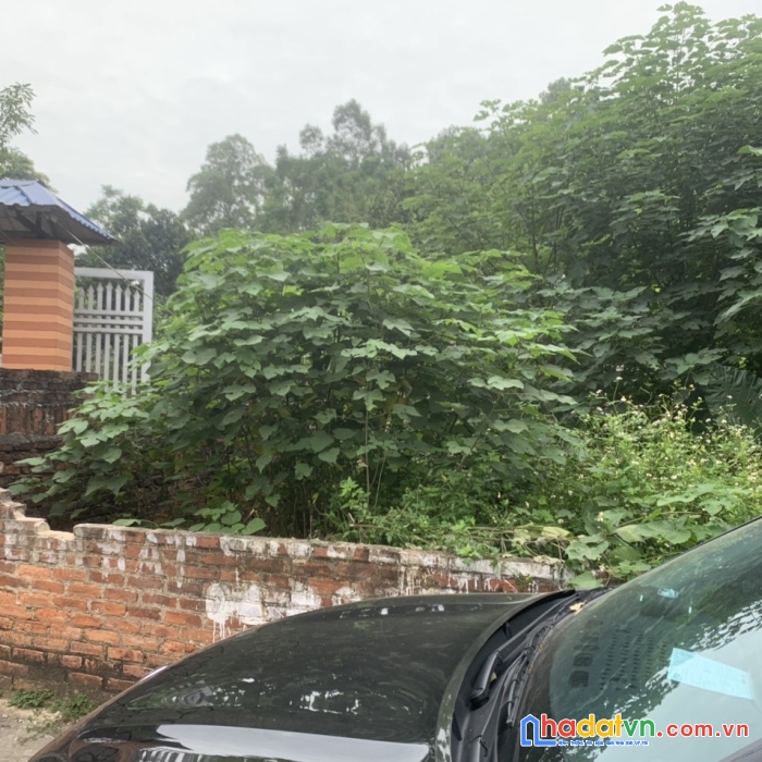 ·        cc bán gấp 82m2 lương châu tiên dược gần thị trấn sầm uất