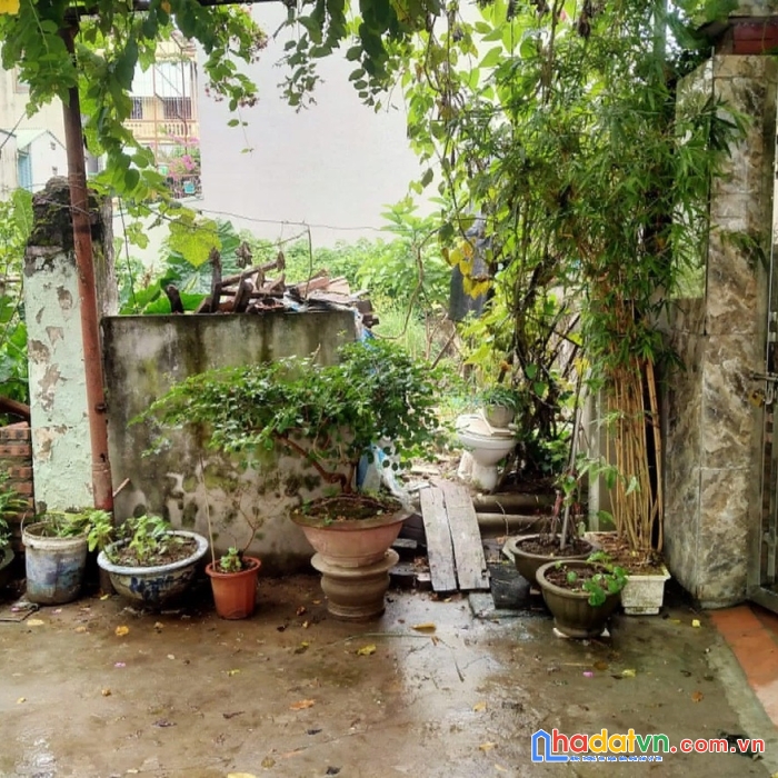 Cực đẹp, nhỉnh 2 tỷ có ngay đất 59m biên giang hà đông