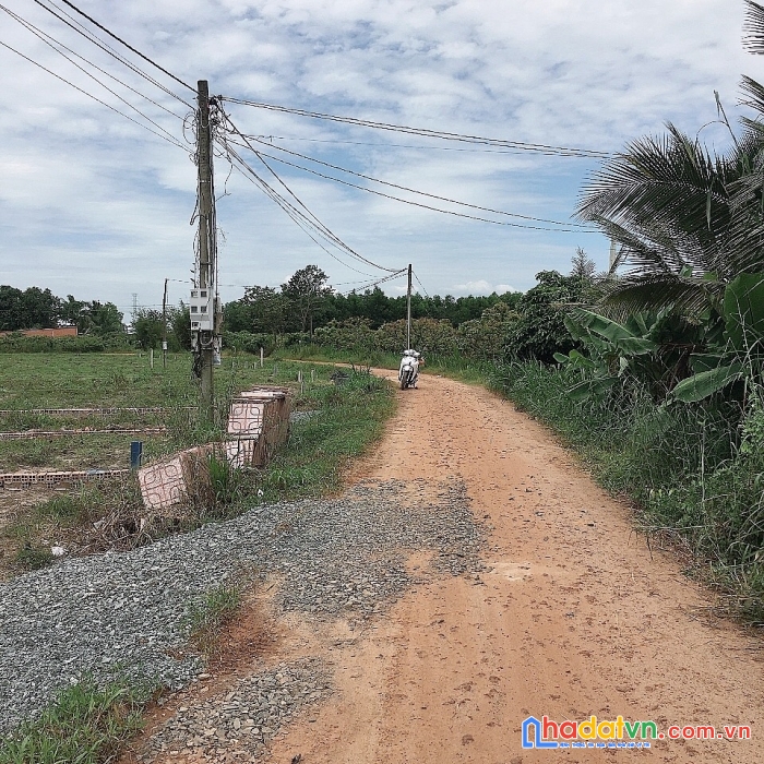 15 lô bàu đồn full thổ cư tách sẳn -gò dầu -tây ninh